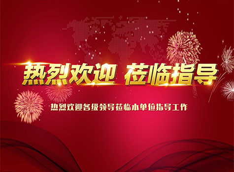 中国染协张水鹤主任、华东理工沈永嘉教授莅临宣城亚邦指导交流