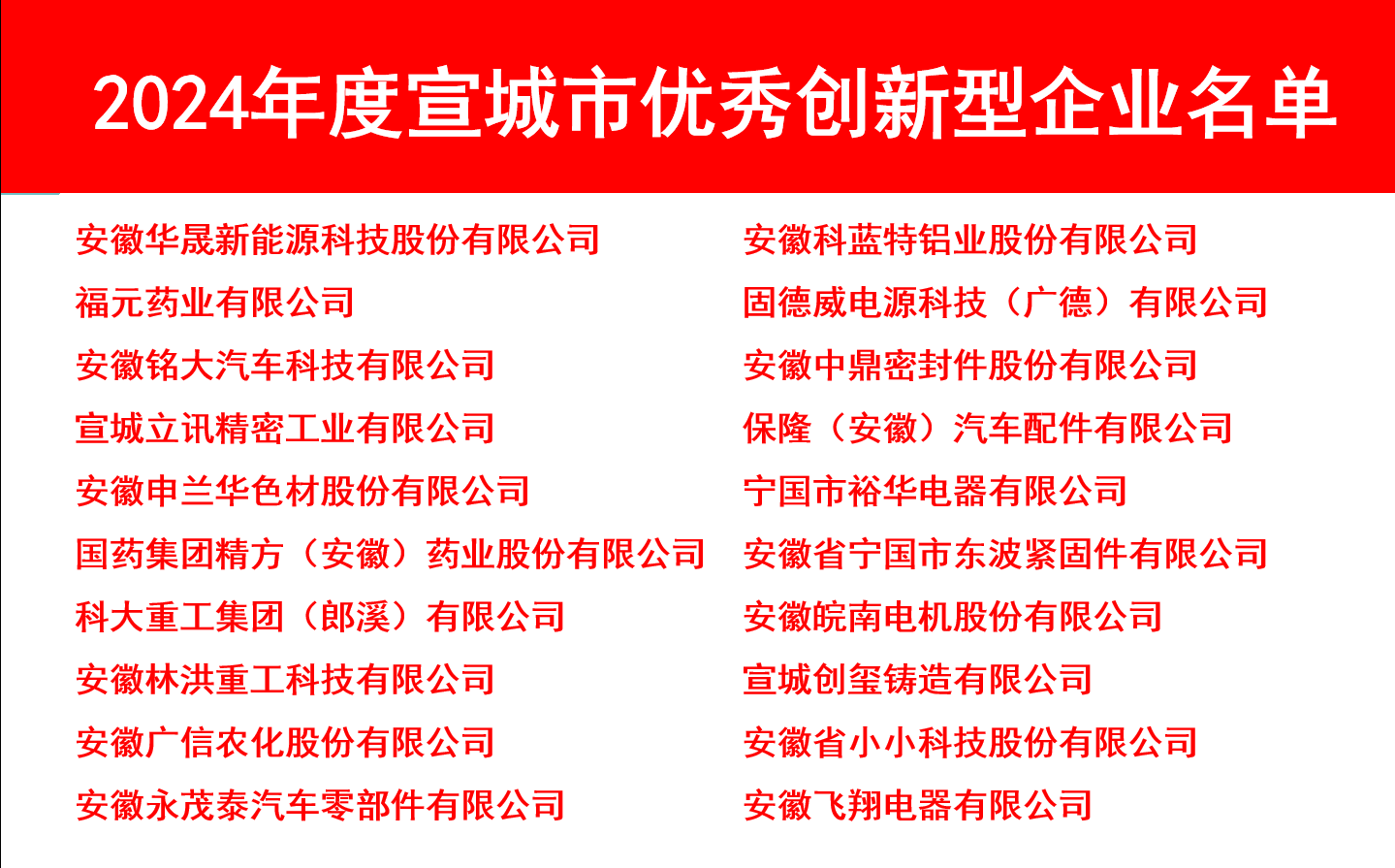 20250206宣城市高质量发展大会1.jpg