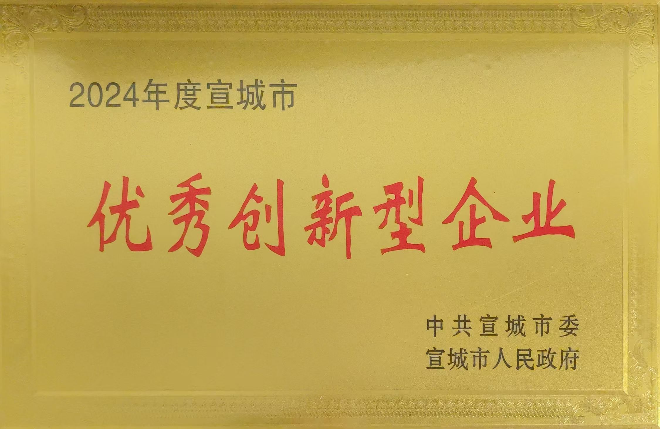 20250206宣城市高质量发展大会.jpg