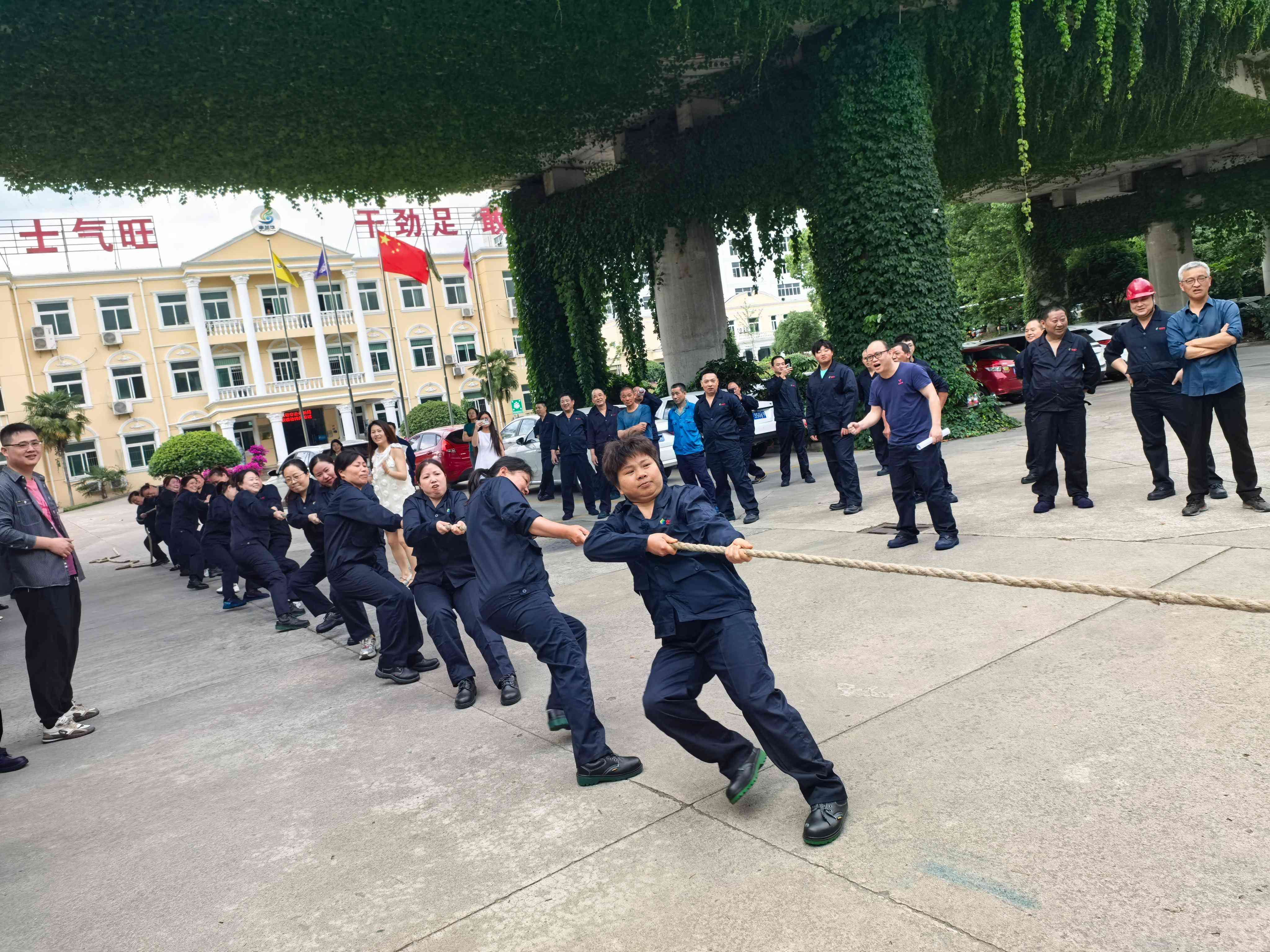 凝心聚力 共展风采(图1) 拔河2.jpg